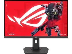 Asus Gaming-Monitor 