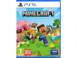 Spielesoftware 