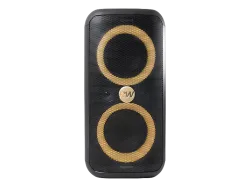 PEAQ ICONIC Party 1 Speaker (2x 40 W Lautsprecher, Schwarz/Gold