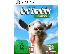 Spielesoftware 