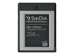 SANDISK PROFESSIONAL PRO-CINEMA CFexpress VPG400 Type B, B-Speicherkarte, 256 GB, 1.700 MB/s