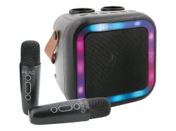 PEAQ PKM-100 Karaoke Machine Bluetooth-Lautsprecher mit 2 Mikrofonen, Schwarz