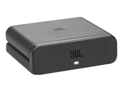 JBL Battery 600 Ersatzakku mit Ladeetui, Schwarz
