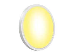 GOVEE Celling Light 30 cm Deckenleuchte RGBWW + RGBIC