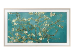 Samsung Bezel 55'' Sand Gold Zubehör TV – TV Zubehör/Fernseher Zubehör