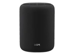 WIIM Sound Lite Smart-Lautsprecher, Schwarz