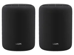 WIIM Sound Lite Twin Pack Smart-Lautsprecher, Schwarz