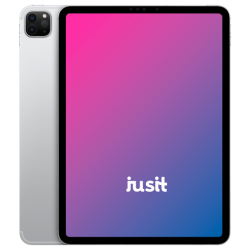 Apple iPad Pro 4. Gen 11in 2022 Wifi