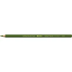 CARAN D'ACHE Farbstifte Supracolor 3,8mm 3888.018 resedagr&uuml;n