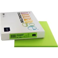 IMAGE COLORACTION Kopierpapier Java A4 159.939 120g maigr&uuml;n 250 Blatt