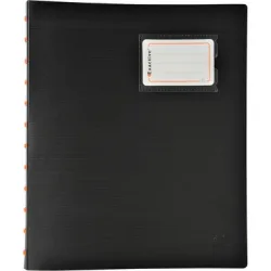 EXACOMPTA Sichtbuch Exadesk Exactive 86334E 30 Mappen, glatt A4