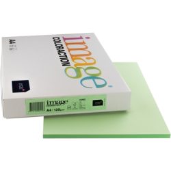 ANTALIS Universal Papier A4 266689 120g, forest 250 Blatt