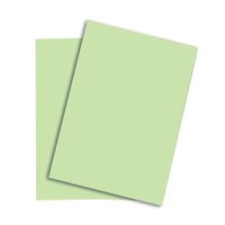 PAPYRUS Rainbow Papier FSC A4 88042630 mittelgr&uuml;n, 80g 500 Blatt