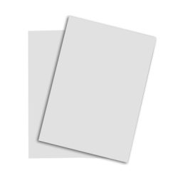 PAPYRUS Rainbow Papier FSC A4 88042784 hellgrau, 80g 500 Blatt