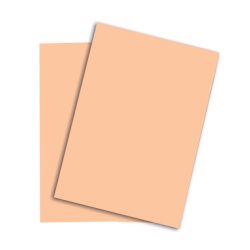 PAPYRUS Rainbow Papier FSC A4 88043133 160g, lachs 250 Blatt