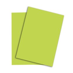 PAPYRUS Rainbow Papier FSC A4 88043138 leuchtend gr&uuml;n, 160g 250 Blatt
