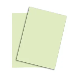 PAPYRUS Rainbow Papier FSC A3 88042591 hellgr&uuml;n, 120g 250 Blatt