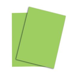 PAPYRUS Rainbow Papier FSC A3 88042660 160g, gr&uuml;n 250 Blatt