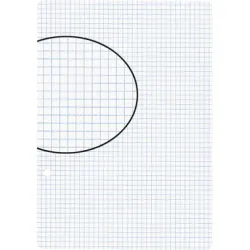 BIELLA Einlagebl&auml;tter A5 450524.00 weiss,kar. 4mm,2-Loch 100Bl.
