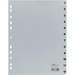 DURABLE Register 6512 Grau DIN A4 23 x 29,7 cm