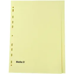 BIELLA Register Karton braun A4 19542400 24-teilig