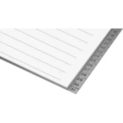 BIELLA Register PP grau A4 471431.00 1-31