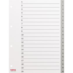 KOLMA Register Longlife A4 19.120.03 grau, 20-teilig