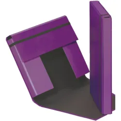 PAGNA Sammelbox Trend A4 21308-12 Gummizugverschluss lila