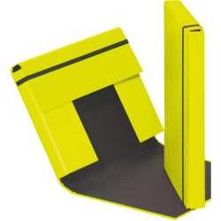 PAGNA Sammelbox Trend A4 21308-17 Gummizugverschluss gr&uuml;n
