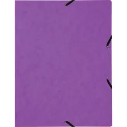 BIELLA Gummibandmappe A4 178401.42 violett, 355gm2 200 Bl.