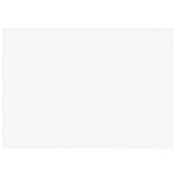 BIELLA Karteikarten blanko A5 230500.00 weiss, 210x148mm 100 Stk.
