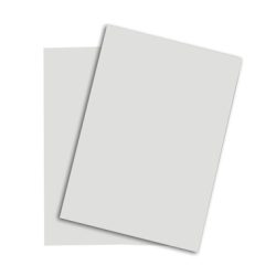 PAPYRUS Rainbow Papier FSC A4 88043118 hellgrau, 120g 250 Blatt