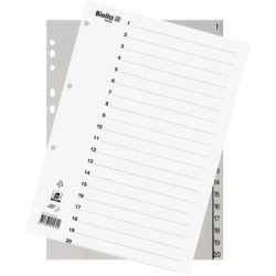 BIELLA Register PP grau A4 47142000 20-teilig blanko