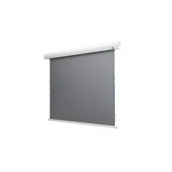 Celexon Tension-Leinwand HomeCinema Dynamic Slate ALR 265x149cm 16:9