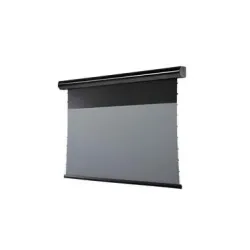 Celexon Motorleinwand HomeCinema Plus Tension 265.7x149.4 cm Schwarz