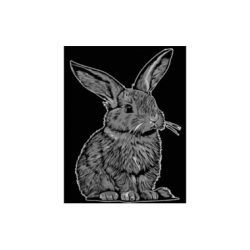 Tataruga Samtbild A4, Hase