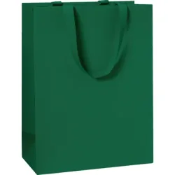 STEWO Geschenktasche One Colour 2544782696 grün dunkel 23x13x30 cm