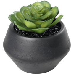 EGLO Kunstpflanze 11cm 428492 gr&uuml;n, im Topf