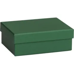 STEWO Geschenkbox One Colour 2551782691 gr&uuml;n dunkel 12x16.5x6cm