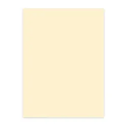 ELCO B&uuml;ropapier Color A4 74616.71 80g, hellchamois 100 Blatt