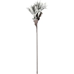 EGLO Kunstblume MOLAVE 428123 grau