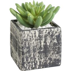 EGLO Kunstpflanze 12cm 428007 gr&uuml;n, im Topf