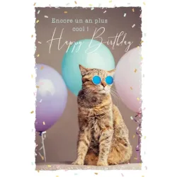 ABC Geburtstagskarte FR B6 53066 Sunny Cat