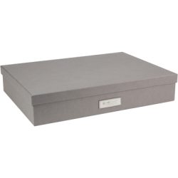BIGSO BOX OF SWEDEN Aufbewahrungsbox Sverker 934154141 grau 43.5x31x8.5cm