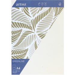 ARTOZ Karten 1001 A4 19269614-242 216g, tortilla 5 Blatt