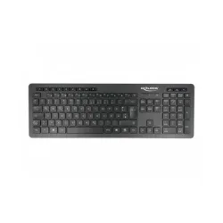 Delock Funk-Tastatur 12004 Wireless Silent