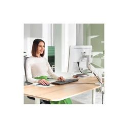 LEITZ Monitorarm Ergo 6489-00-85 Grau, single