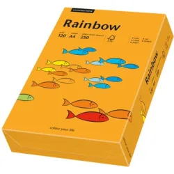 RAINBOW Papier orange/24 A4 88042436 FSC, 120g 250 Blatt
