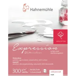 HAHNEMÜHLE Miniblock Expression 8.x10.5cm 10628664 weiss, 300g 12 Blatt