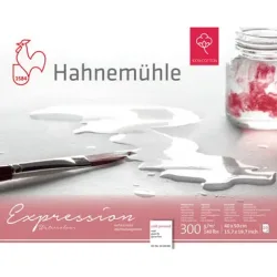 HAHNEMÜHLE Aquarellbl. Expression 40x50cm 10628668 weiss, 300g 20 Blatt